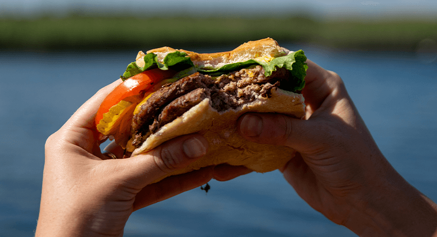 highest quality frozen burgers